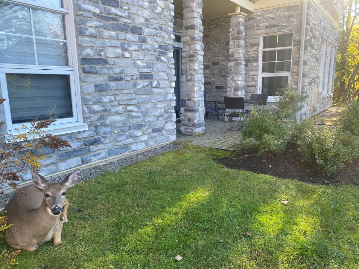Rental Condo Tremblant-Les-Eaux Mont-Tremblant Buitenkant foto